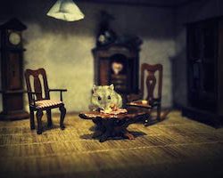 Impresión Artística/Póster: Vaclav Kindl Jarmil The Hamster - Impresión de Alta Calidad, Foto, Póster Artístico, 90x60 cm