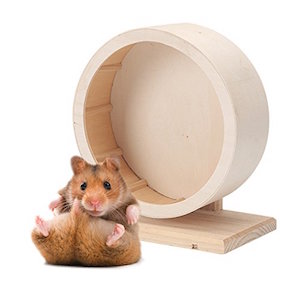 Petacc Pet Rueda para ejercicios de madera Mute , Apta para Hamsters,, 5.9 '' Diámetro (M)