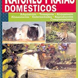 Ratones Y Ratas Domesticos, Nuevo Libro (Ratones y ratas domésticos) Tapa blanda – 8 oct 2002
