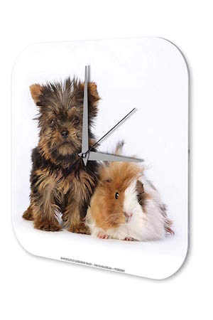 Reloj De Pared Cocina Marke Cachorro Terrier Hamster Plexiglas Imprimido 25x25 cm