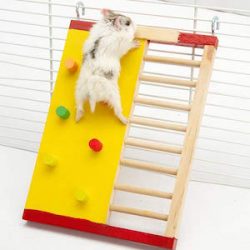 hodgea Hamster escalada escalera de madera pequeña mascota holandés Pig anti – Skid escalada planta deportes juguetes